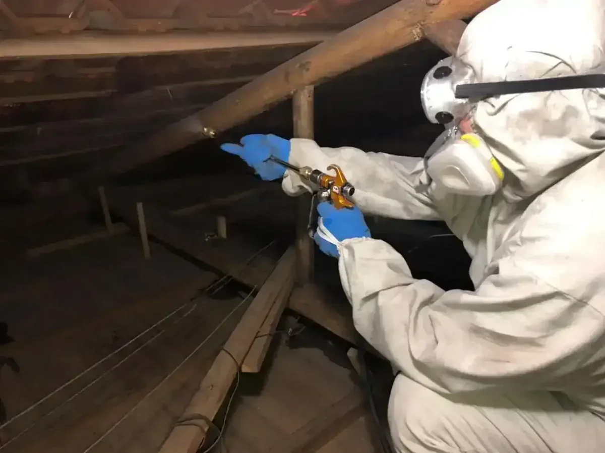 Descupinização e Controle de Cupins Profissional | Central Desentupir
